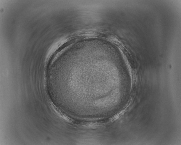 X0000073750293200608241354