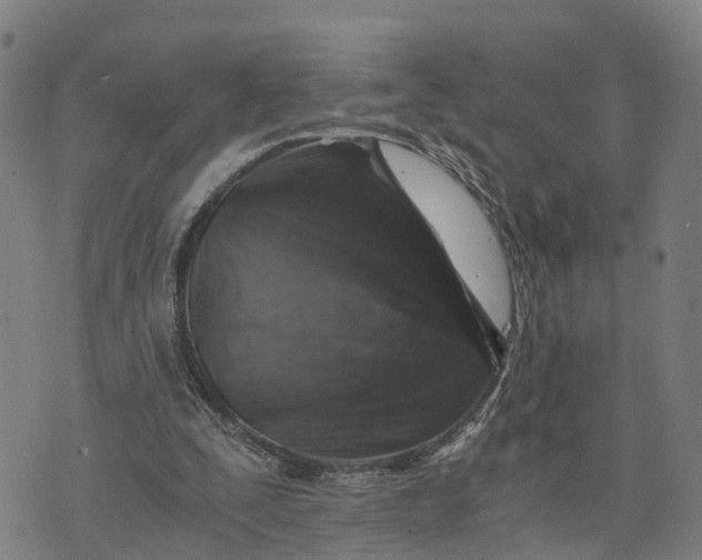 X0000073750295200608241354