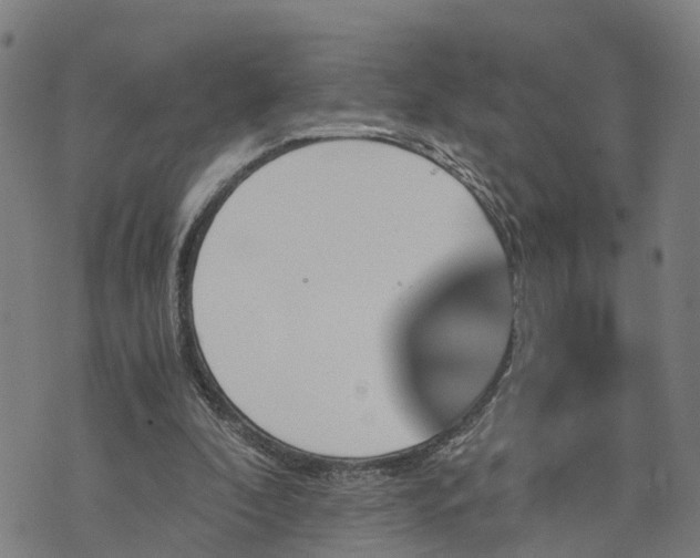 X0000073750296200608241354