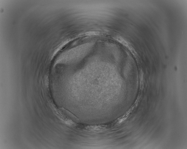 X0000073750297200608241354