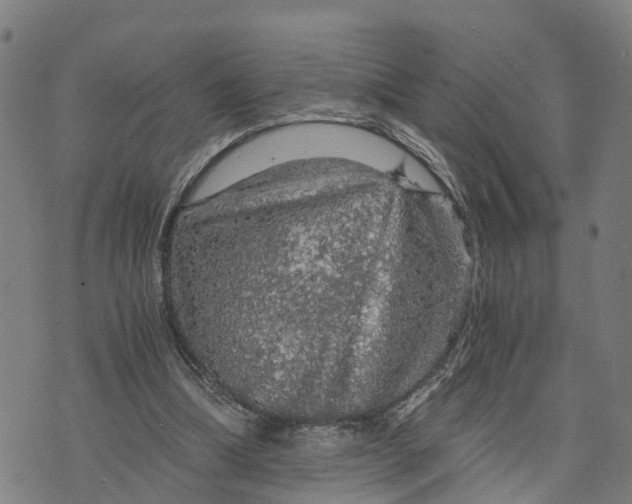 X0000073750298200608241354