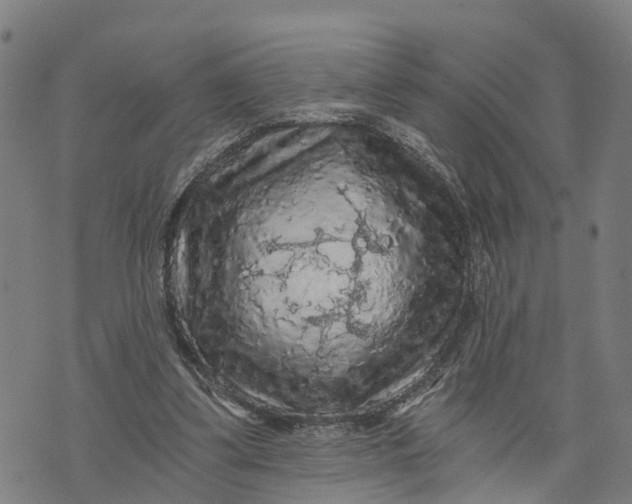 X0000073750299200608241354