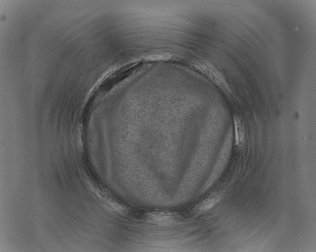 X0000073750300200608241354