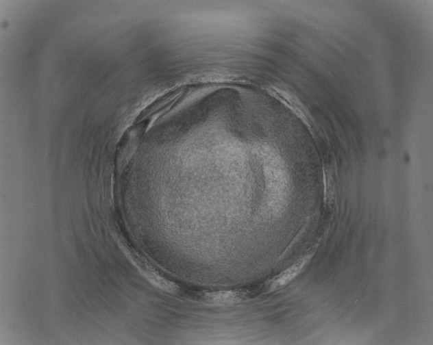 X0000073750301200608241354