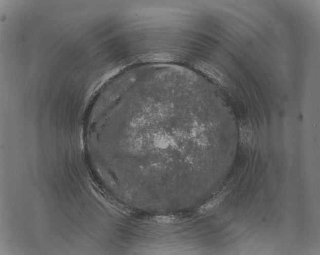 X0000073750302200608241354