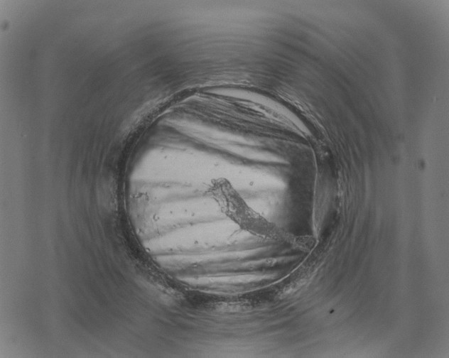 X0000073750303200608241354