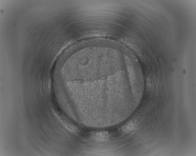 X0000073750304200608241354