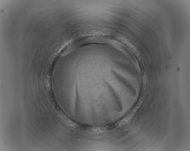 X0000073750305200608241354