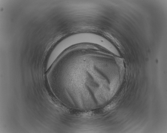 X0000073750306200608241354