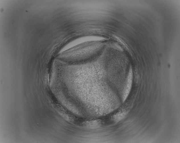 X0000073750307200608241354