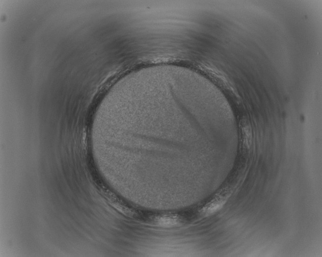 X0000073750308200608241354