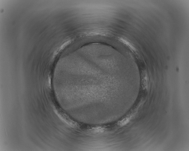 X0000073750310200608241353