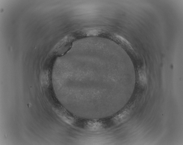 X0000073750311200608241353