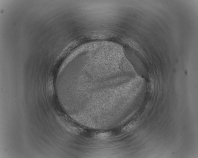 X0000073750312200608241353