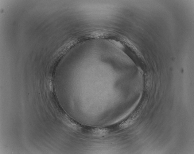 X0000073750313200608241353