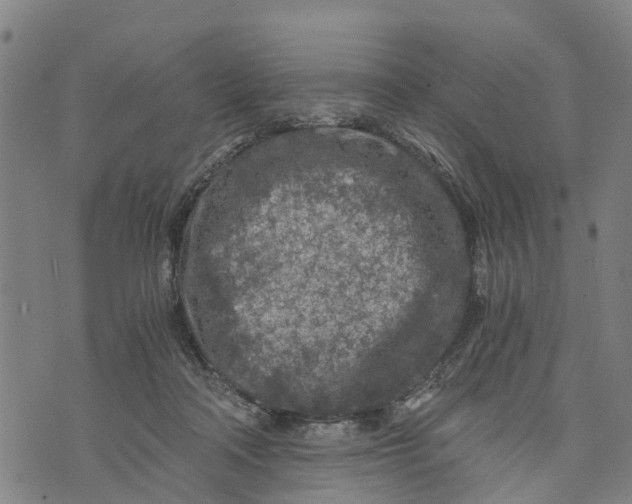 X0000073750314200608241353