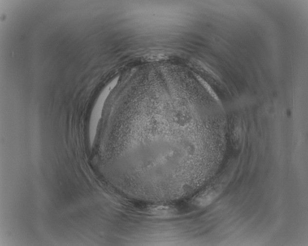 X0000073750315200608241353