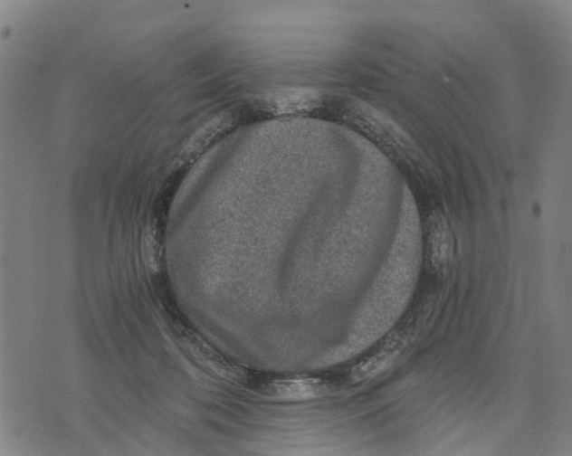 X0000073750316200608241353