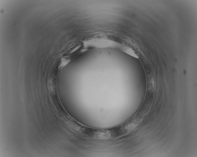 X0000073750317200608241353