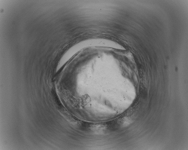 X0000073750319200608241353