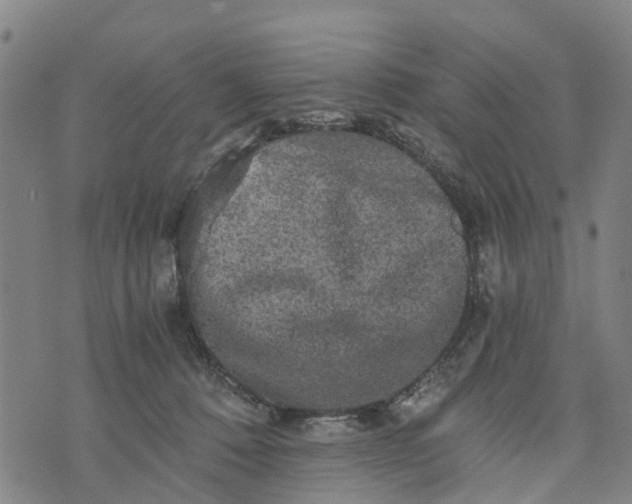 X0000073750320200608241353