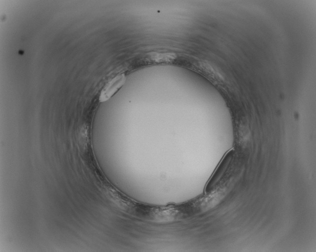 X0000073750321200608241353