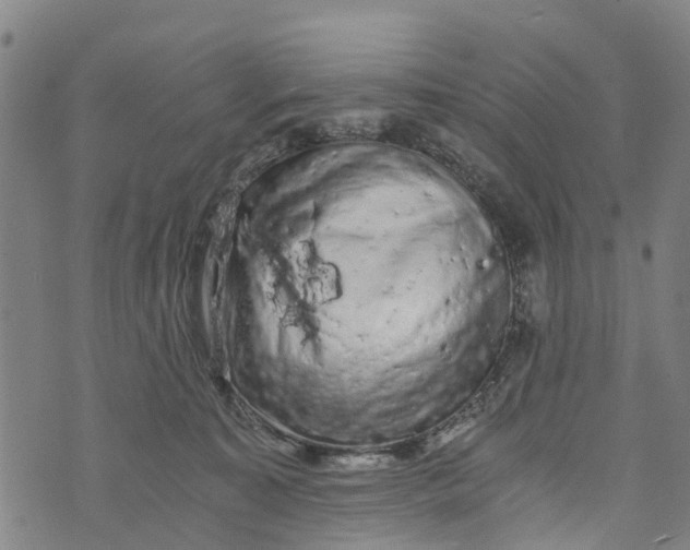 X0000073750323200608241353