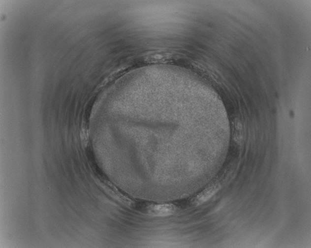 X0000073750324200608241353