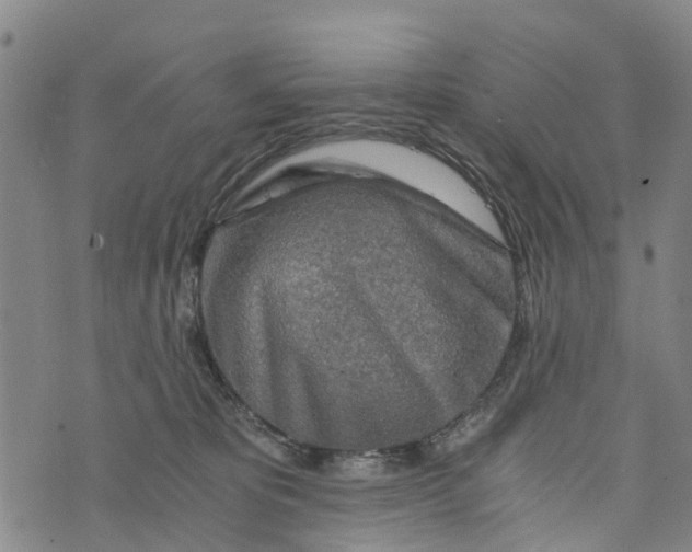 X0000073750325200608241353