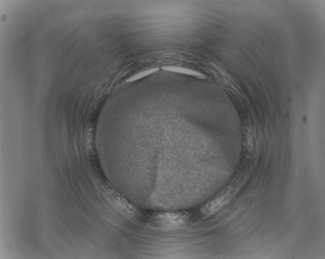 X0000073750326200608241353