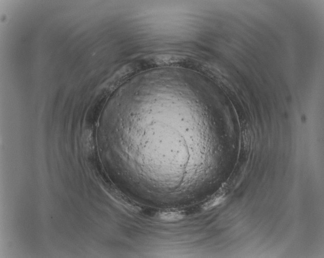 X0000073750327200608241353