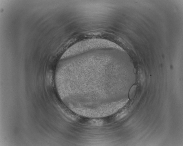 X0000073750328200608241353