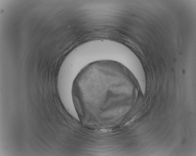 X0000073750329200608241353