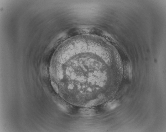 X0000073750331200608241353