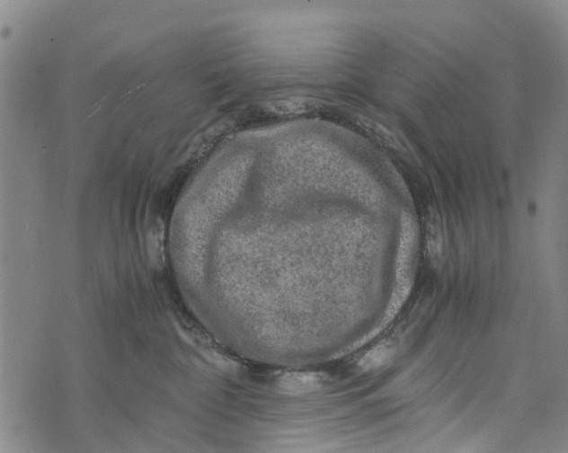 X0000073750332200608241353