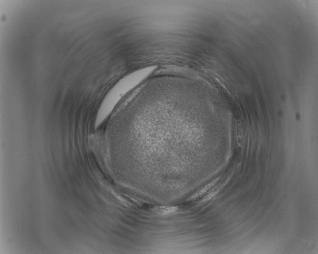 X0000073750334200608241353