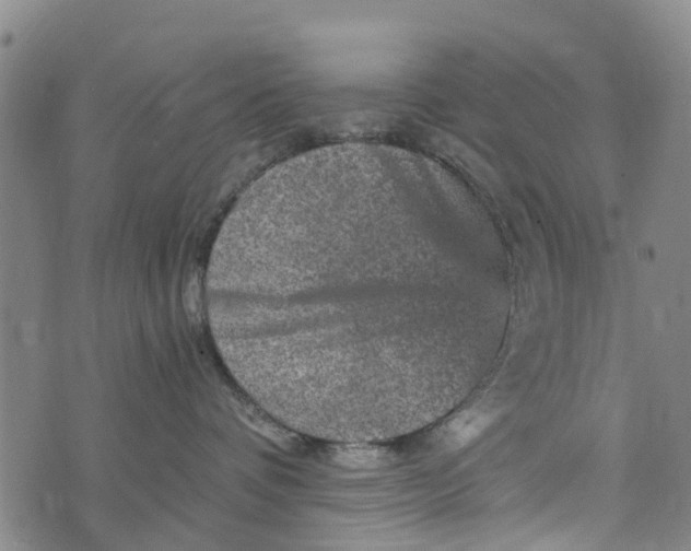 X0000073750336200608241353