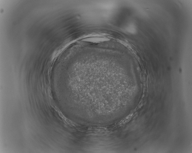 X0000073750337200608241352