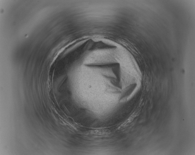 X0000073750338200608241352