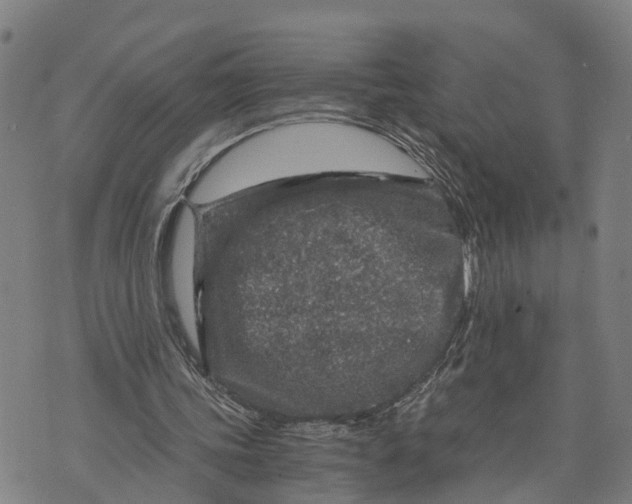 X0000073750339200608241352