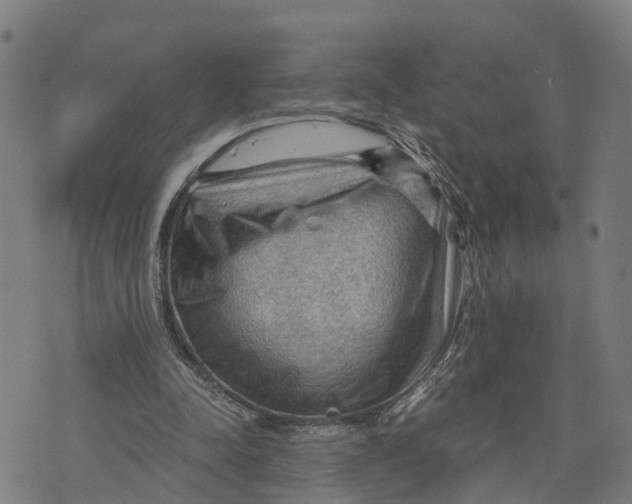 X0000073750342200608241352