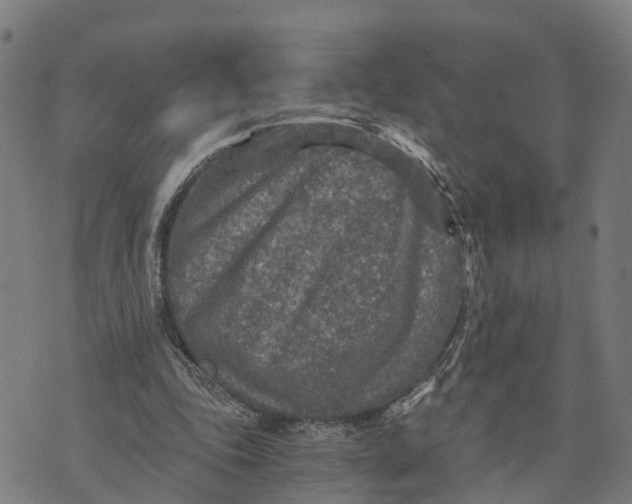 X0000073750343200608241352