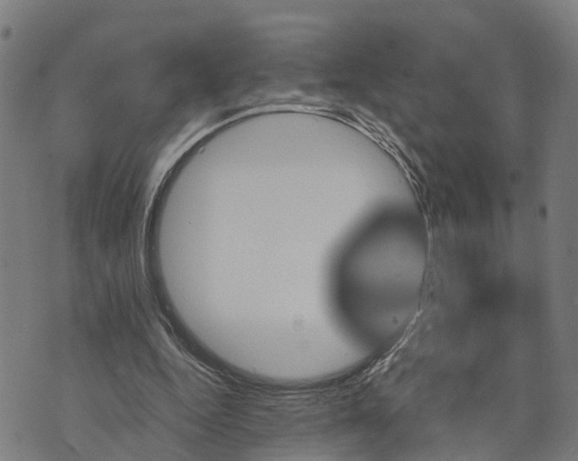 X0000073750344200608241352