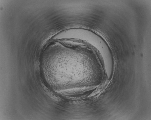 X0000073750345200608241352