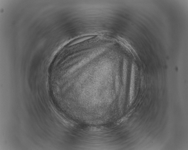 X0000073750346200608241352