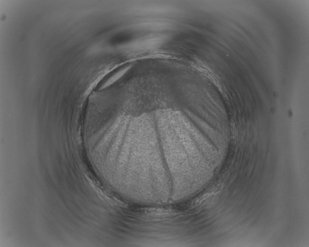 X0000073750347200608241352