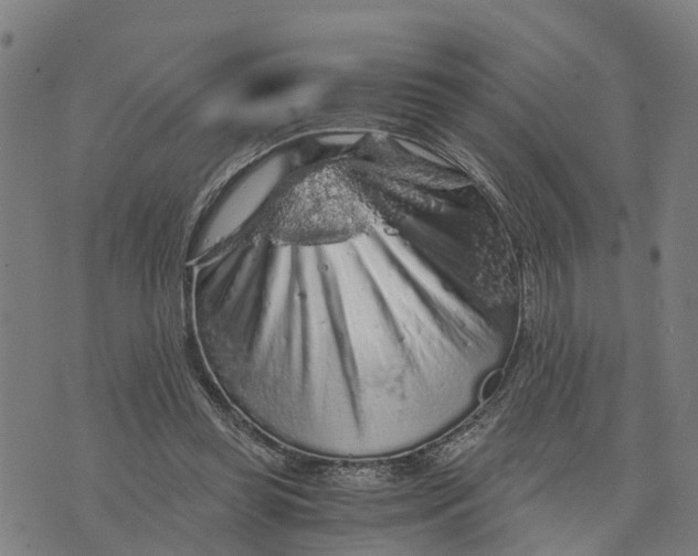 X0000073750349200608241352