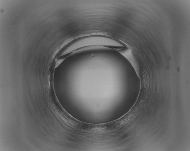 X0000073750350200608241352