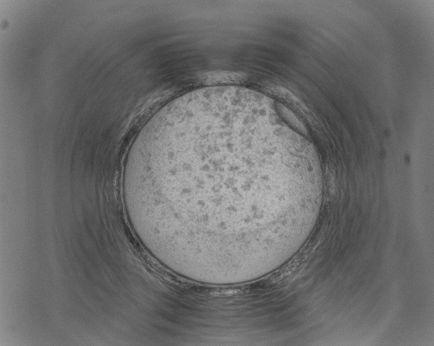 X0000073750357200608241353