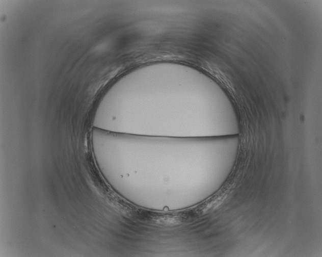 X0000073750358200608241353